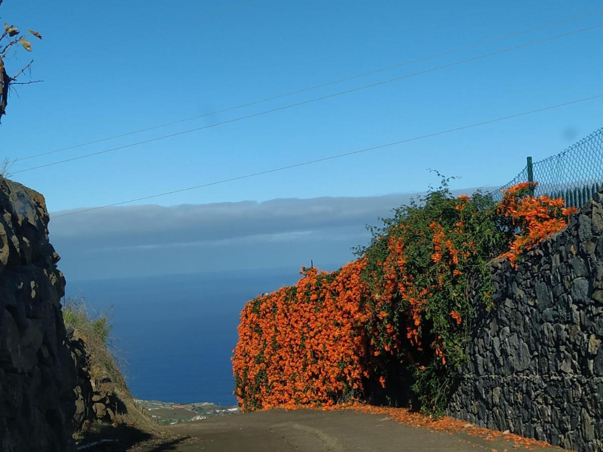 Finca Rural House Tenerife Relax And Enjoy Santa Úrsula Exterior foto
